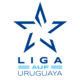 Cúp Liên đoàn Uruguay