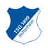 TSG Hoffenheim Logo đội